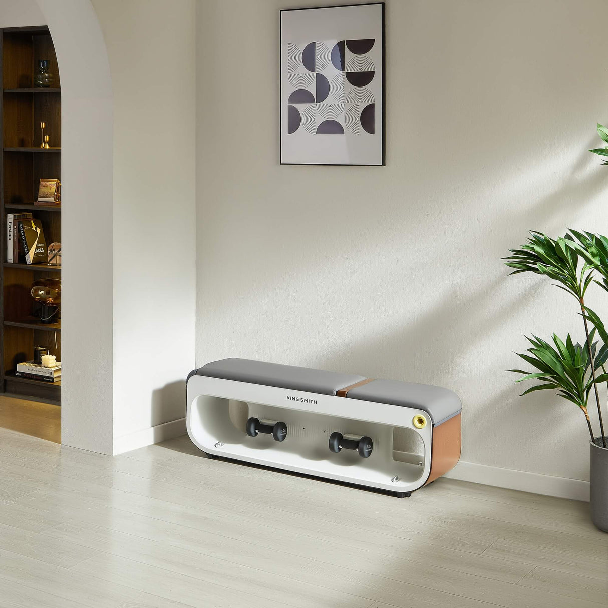 Adjustable Tone Up Weight Bench