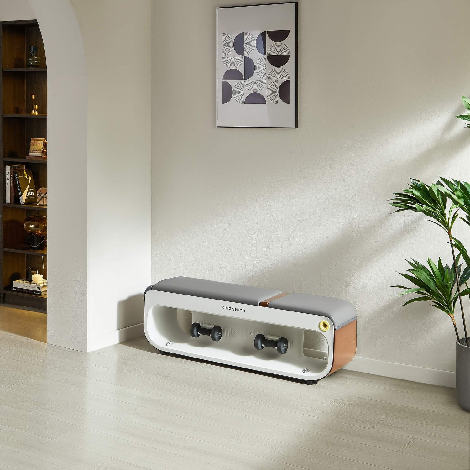 Adjustable Tone Up Weight Bench