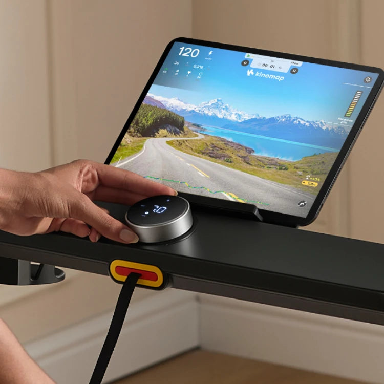 WalkingPad UK