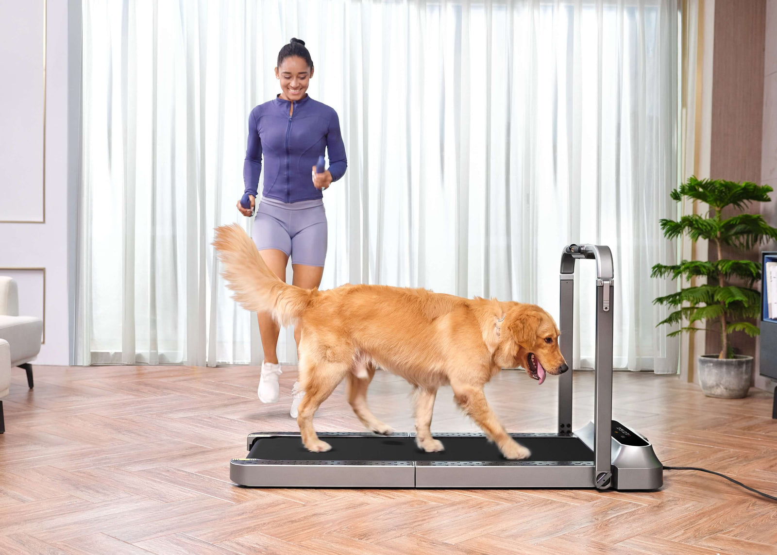 The pet dog and its owner are exercising together on a folding treadmill.