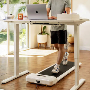 For Home & Hybrid Working
