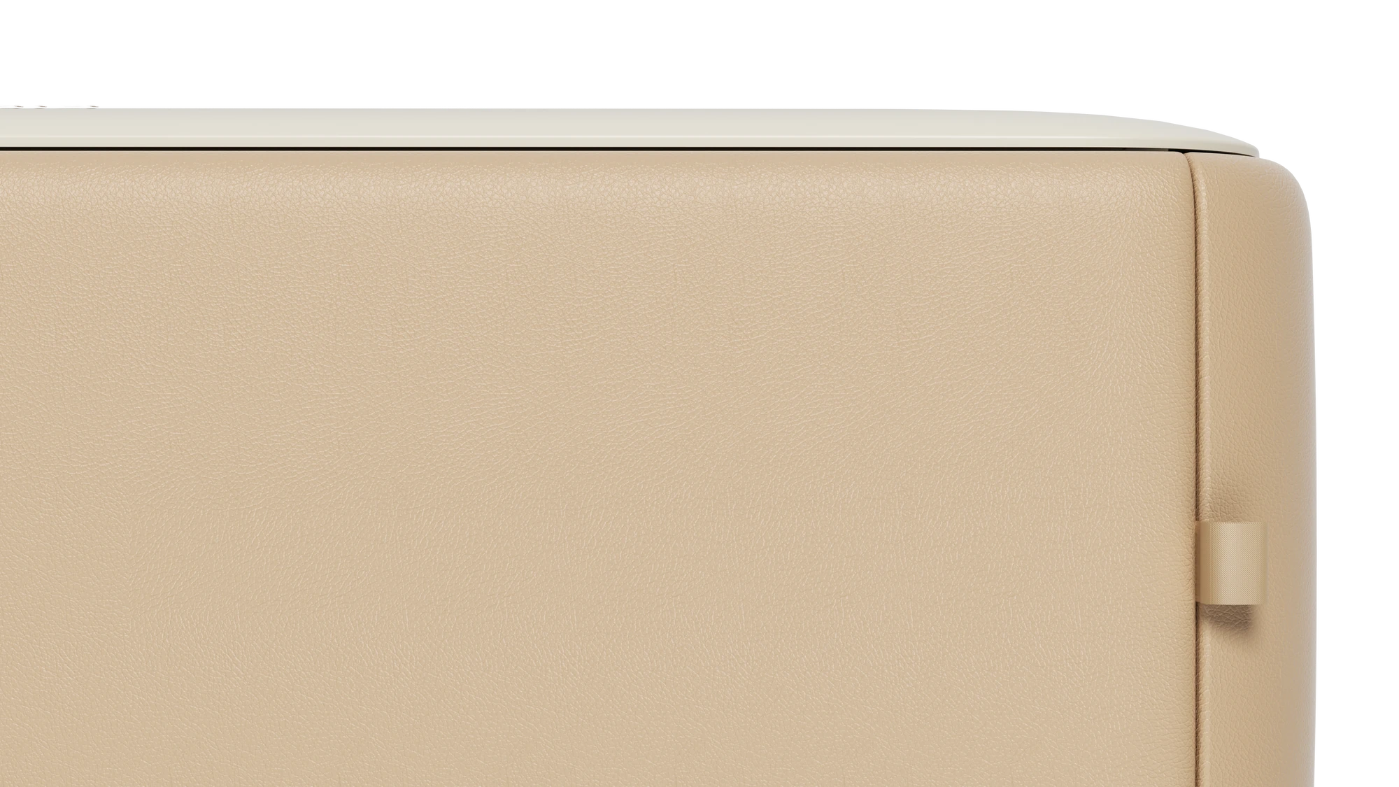 B2 Premium Nano Leather Cushion