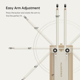 B2 | Tone Up Weight Bench