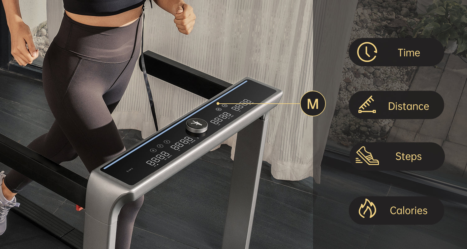 WalkingPad X25+ In Use at Home
