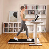 WFH Workstation - C1 & Standing Desk