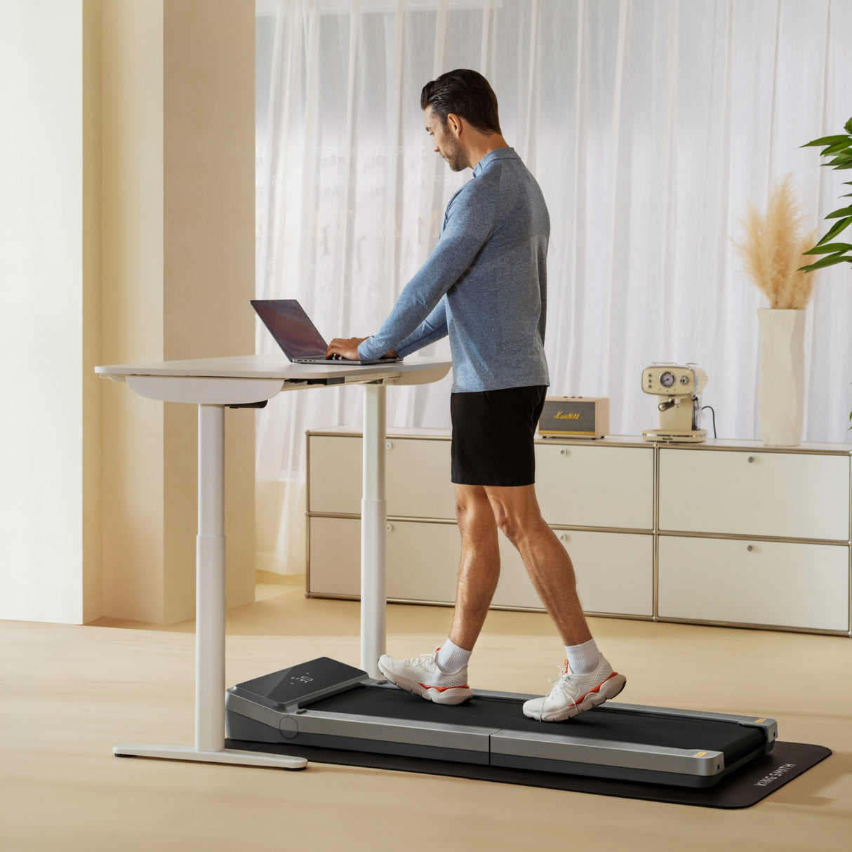 WFH Workstation - Z3 & Standing Desk