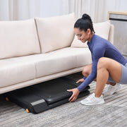 Cardio Suite | Beginner | WalkingPad A1 Pro & WR1