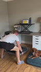 WalkingPad R2 | 2 in 1 Folding Treadmill | 12KPH