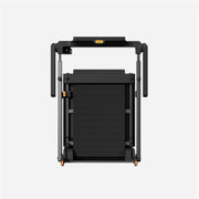WalkingPad MX10