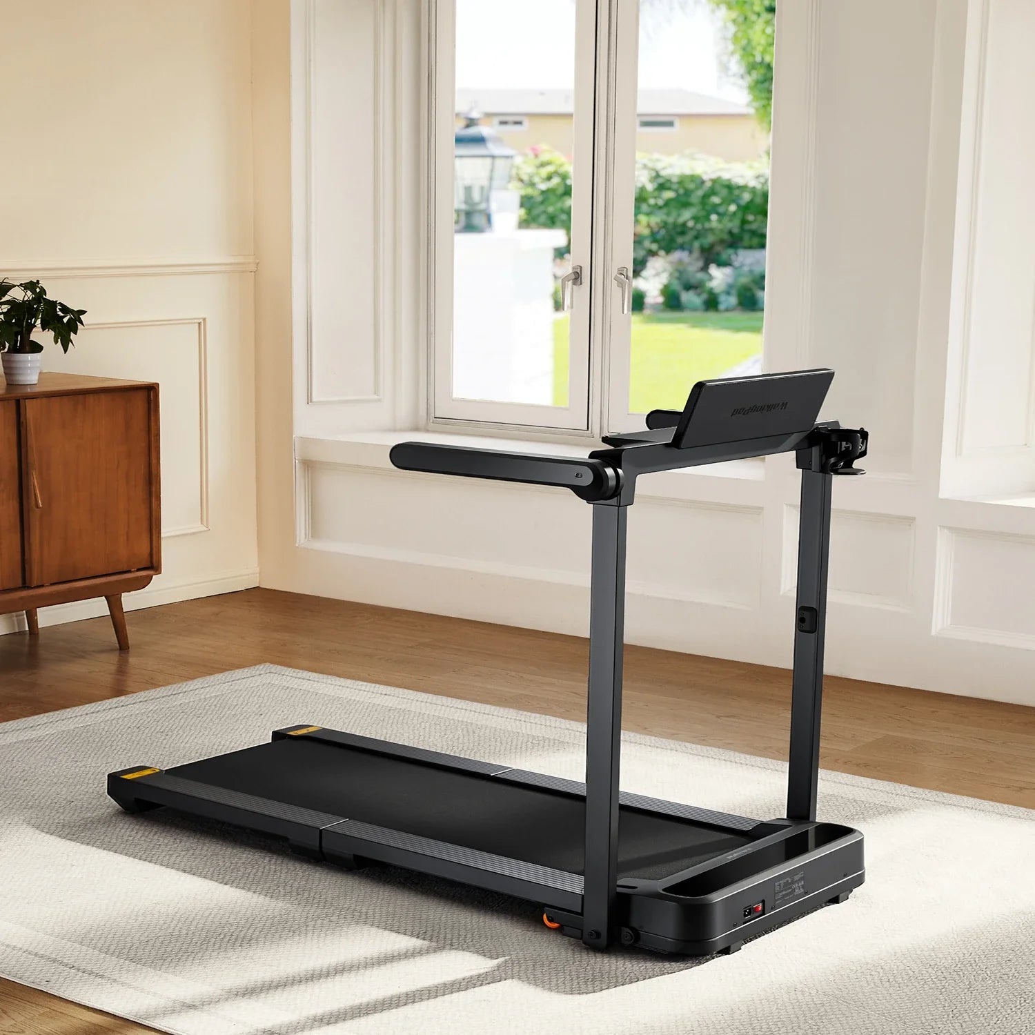 WalkingPad MX10