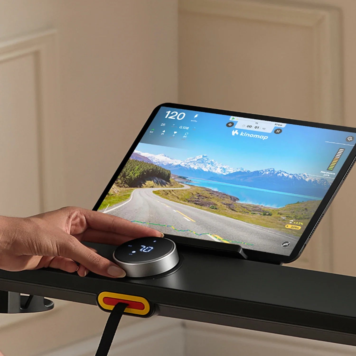 WalkingPad X208