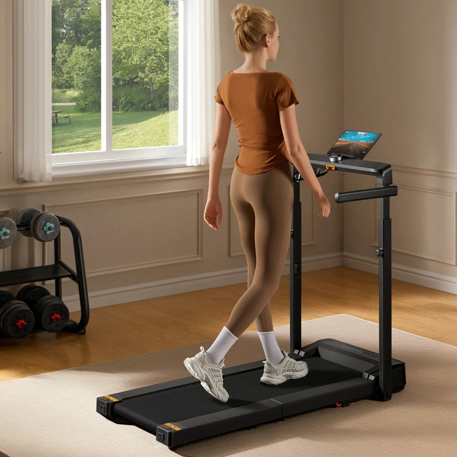 WalkingPad X208