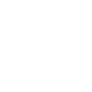 <p><strong>SOFTSTEP™ CUSHIONING</strong></p>