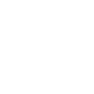 <p><strong>110 KG MAX USER WEIGHT</strong></p>