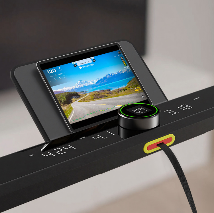 WalkingPad UK