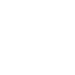<p>BLUETOOTH</p>